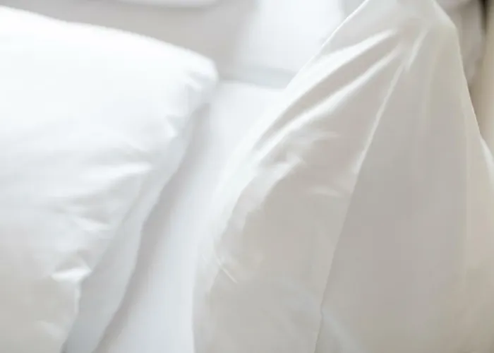 Apartment Logierhaus Rosa-lena Norderney